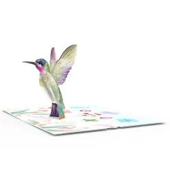 Lovepop Value Packs|Birthday|Beautiful Birthday 5- Pack