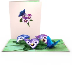 Lovepop Value Packs|Birthday|Beautiful Birthday and Everyday Garden 12-Pack