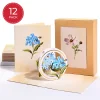 Lovepop Value Packs|Just Because|Beautiful Botanicals Box Set (Assorted 12-Pack): Paperpop® Card