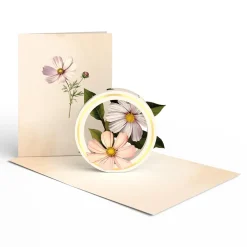 Lovepop Value Packs|Just Because|Beautiful Botanicals Box Set (Assorted 12-Pack): Paperpop® Card