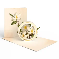 Lovepop Value Packs|Just Because|Beautiful Botanicals Box Set (Assorted 12-Pack): Paperpop® Card