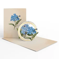 Lovepop Value Packs|Just Because|Beautiful Botanicals Box Set (Assorted 12-Pack): Paperpop® Card