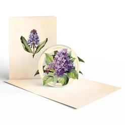 Lovepop Value Packs|Just Because|Beautiful Botanicals Box Set (Assorted 12-Pack): Paperpop® Card