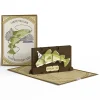 Lovepop Greeting Cards|Birthday|Birthday Cod Pop-Up Card