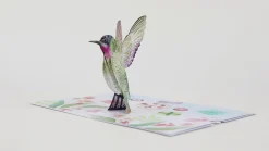 Lovepop Greeting Cards|Birthday|Birthday Hummingbird Pop-Up Card
