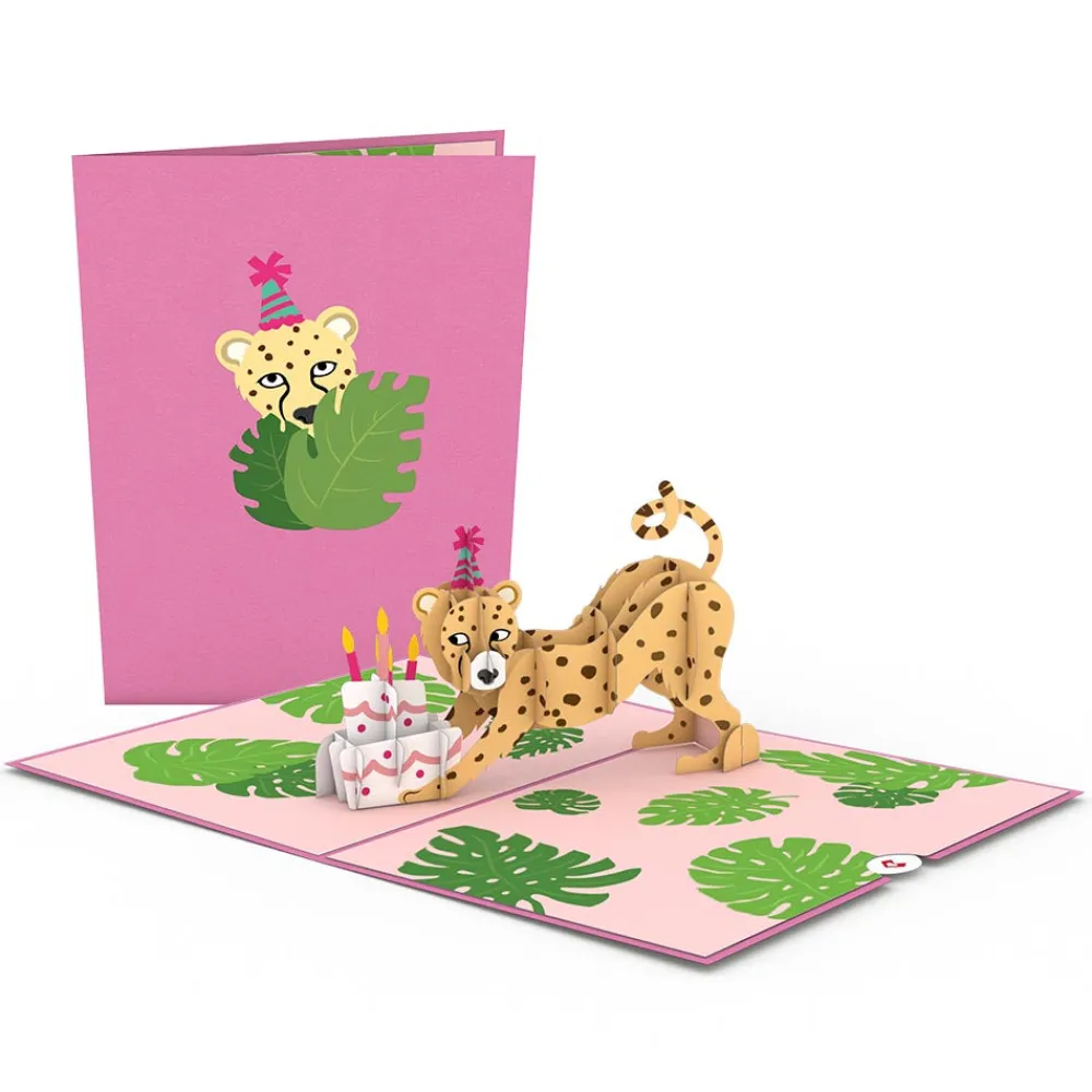 Lovepop Value Packs|Birthday|Birthday 12-Pack