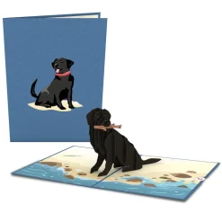 Lovepop Greeting Cards|Just Because|Black Lab Pop-Up Card