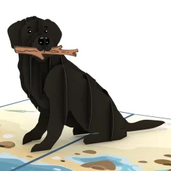 Lovepop Greeting Cards|Just Because|Black Lab Pop-Up Card