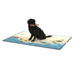 Lovepop Greeting Cards|Just Because|Black Lab Pop-Up Card