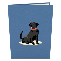 Lovepop Greeting Cards|Just Because|Black Lab Pop-Up Card