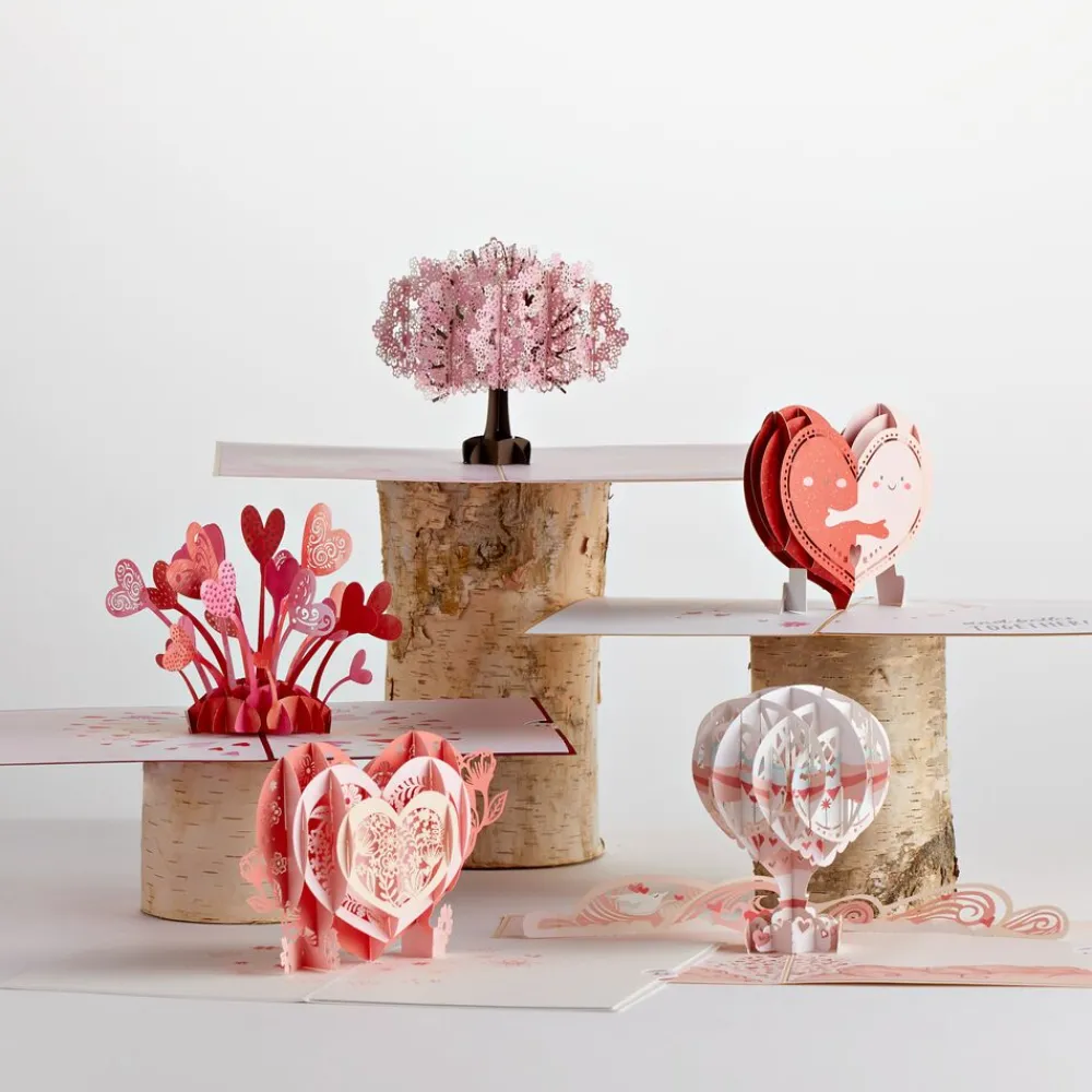 Lovepop Value Packs|Just Because|Brighten Their Day 5-Pack