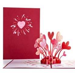 Lovepop Value Packs|Just Because|Brighten Their Day 5-Pack
