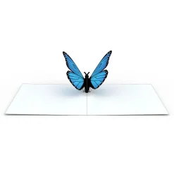 Lovepop Notecards|Get Well|Butterfly Notecards (Assorted 4-Pack)