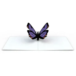 Lovepop Notecards|Get Well|Butterfly Notecards (Assorted 4-Pack)