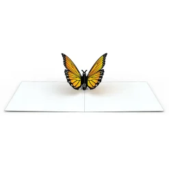 Lovepop Notecards|Get Well|Butterfly Notecards (Assorted 4-Pack)