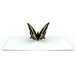 Lovepop Notecards|Get Well|Butterfly Notecards (Assorted 4-Pack)