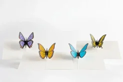 Lovepop Notecards|Get Well|Butterfly Notecards (Assorted 4-Pack)