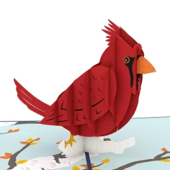 Lovepop Greeting Cards|Get Well|Cardinal Pop-Up Card