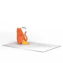 Lovepop Greeting Cards|Birthday|Cats Don't Care Birthday: PopPals™ Card