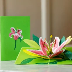 Lovepop Pop-Up Bouquets|Card & Gift Bundles|Cherry Blossom & Lily Bloom Bundle