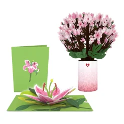 Lovepop Pop-Up Bouquets|Card & Gift Bundles|Cherry Blossom & Lily Bloom Bundle