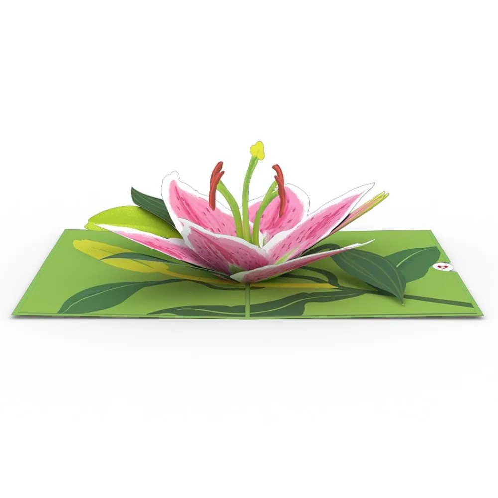 Lovepop Pop-Up Bouquets|Card & Gift Bundles|Cherry Blossom & Lily Bloom Bundle
