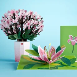 Lovepop Pop-Up Bouquets|Card & Gift Bundles|Cherry Blossom & Lily Bloom Bundle