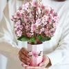 Lovepop Pop-Up Bouquets|Decor|Cherry Blossom Bouquet