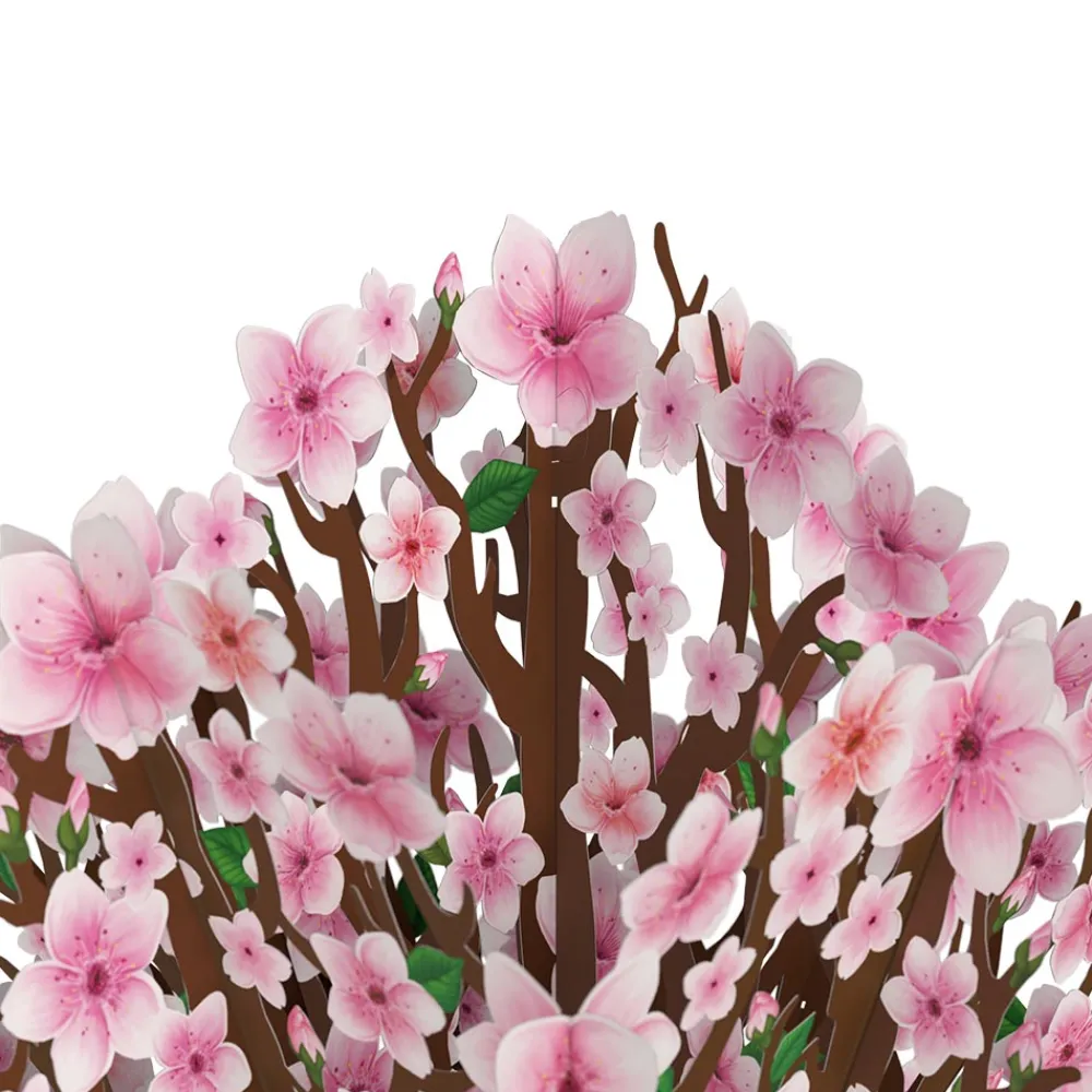 Lovepop Pop-Up Bouquets|Decor|Cherry Blossom Bouquet