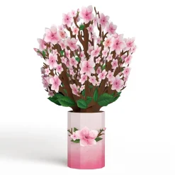 Lovepop Pop-Up Bouquets|Decor|Cherry Blossom Bouquet