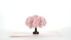 Lovepop Greeting Cards|Birthday|Cherry Blossom Pop-Up Card