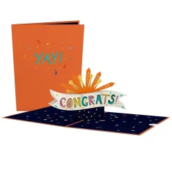 Lovepop Pop-Up Bouquets|Card & Gift Bundles|Congrats Bundle