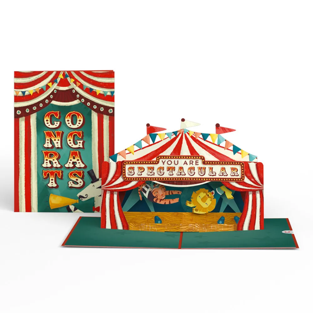 Lovepop Congratulations|Congrats, You Are Spectacular Pop-Up Card