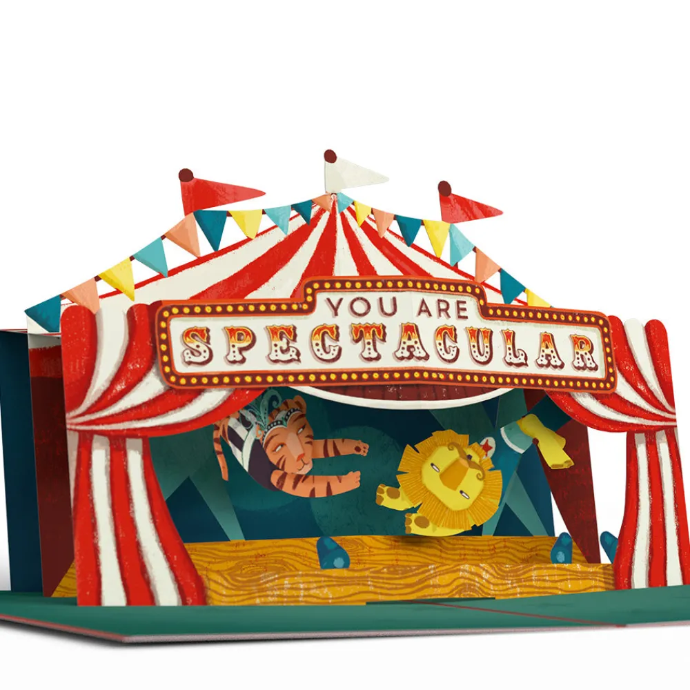 Lovepop Congratulations|Congrats, You Are Spectacular Pop-Up Card