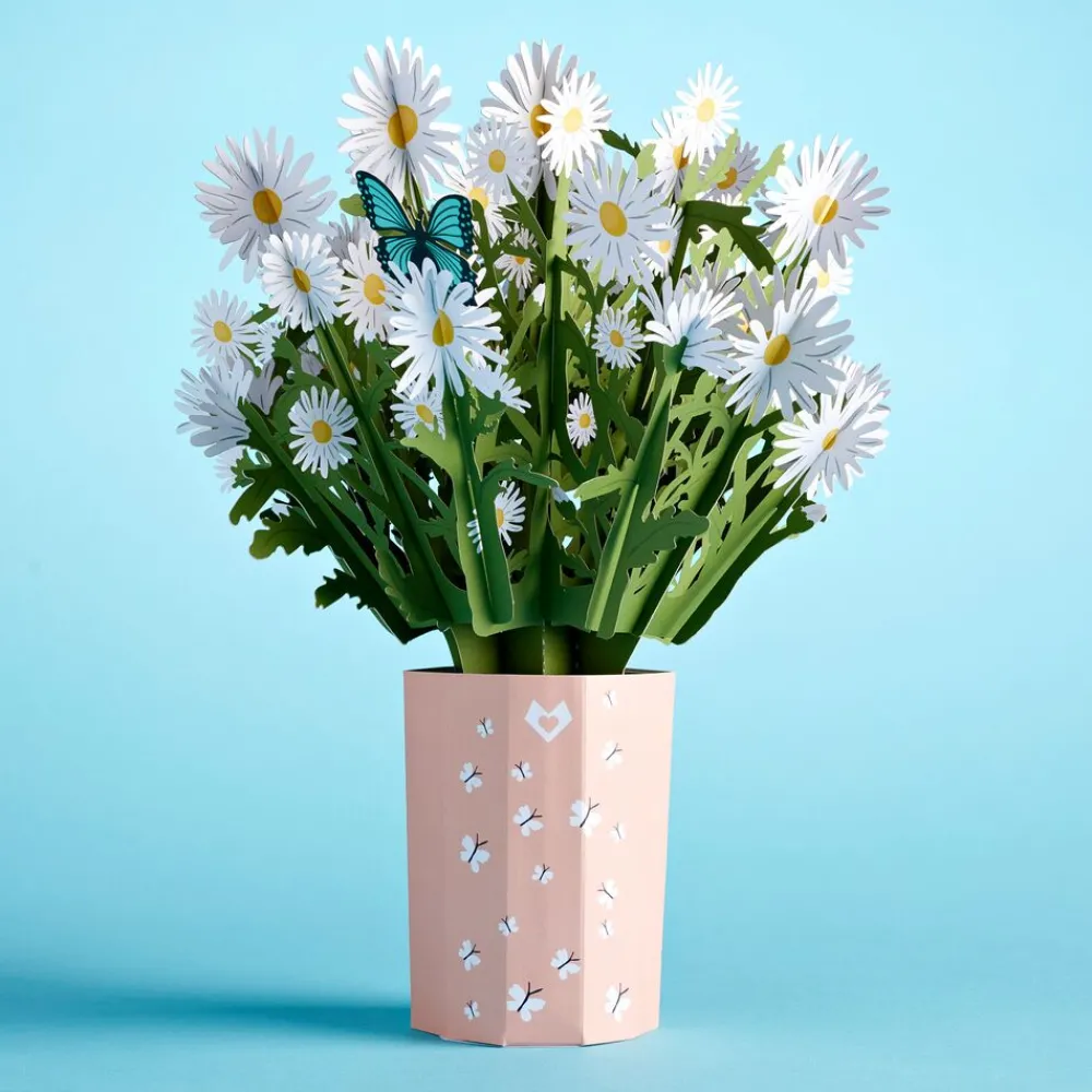 Lovepop Pop-Up Bouquets|Anniversary|Daisy Bouquet