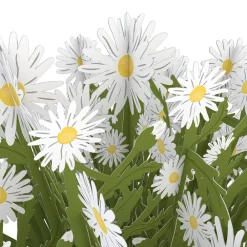 Lovepop Pop-Up Bouquets|Anniversary|Daisy Bouquet