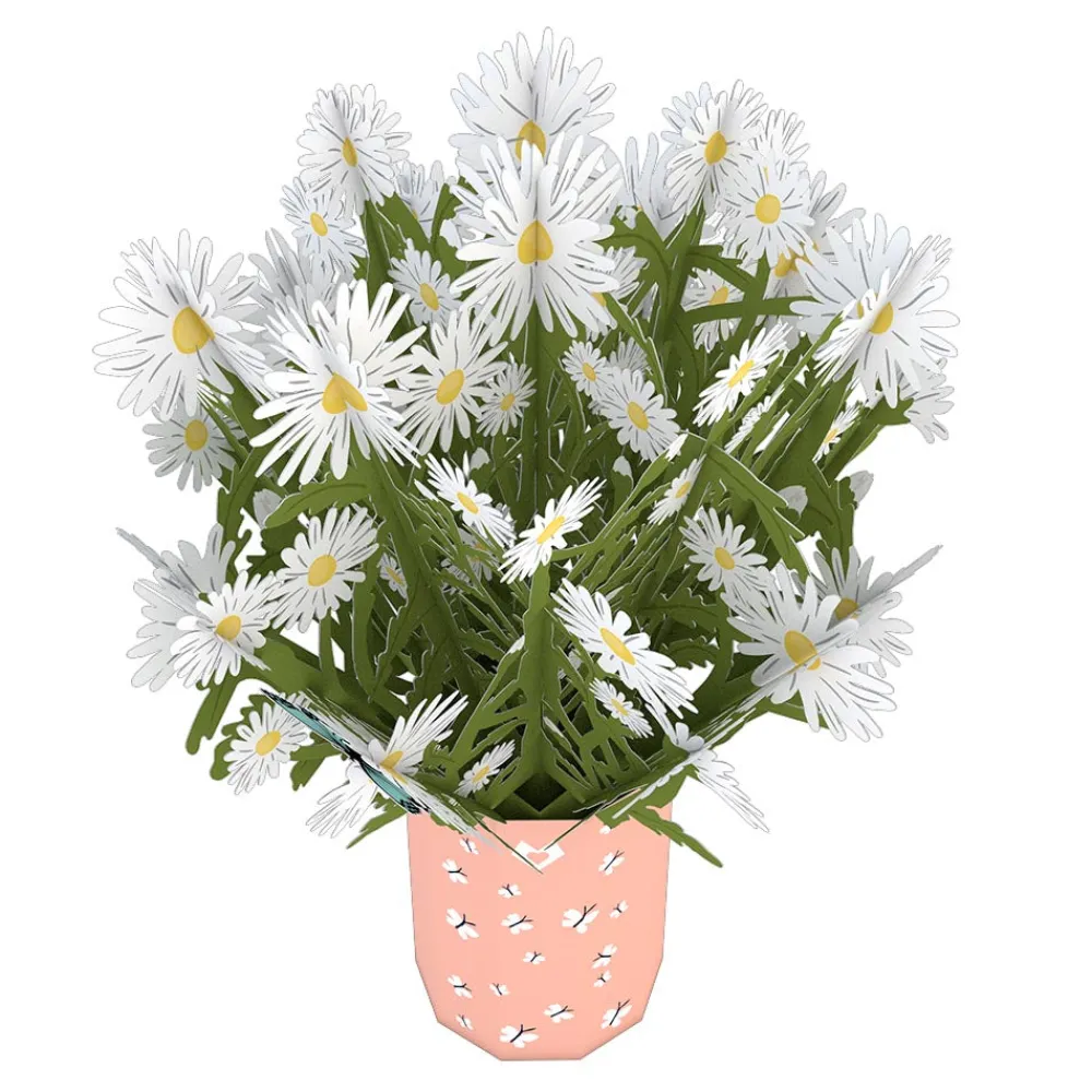 Lovepop Pop-Up Bouquets|Anniversary|Daisy Bouquet