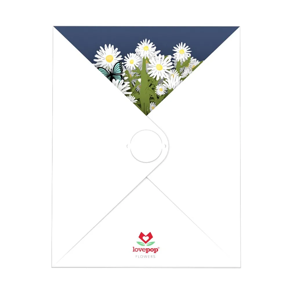 Lovepop Pop-Up Bouquets|Anniversary|Daisy Bouquet