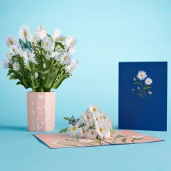 Lovepop Pop-Up Bouquets|Card & Gift Bundles|Daisy Bundle