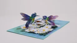 Lovepop Greeting Cards|Birthday|Daisy Patch Hummingbirds Pop-Up Card