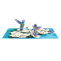 Lovepop Greeting Cards|Birthday|Daisy Patch Hummingbirds Pop-Up Card