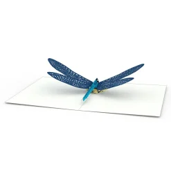 Lovepop Notecards|Just Because|Dragonfly Notecards (4-Pack)