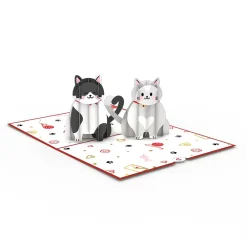 Lovepop Value Packs|Valentine'S Day 2/14|Dynamic Duos Love 3-Pack