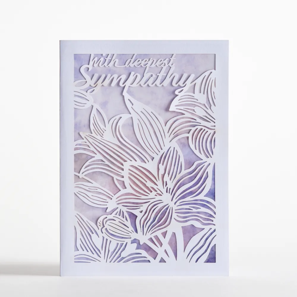 Lovepop Value Packs|Everyday Pack (Assorted 12-Pack): Moments™ Card