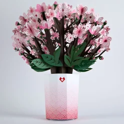Lovepop Pop-Up Bouquets|Value Packs|Favorite Bouquets (5-Pack)