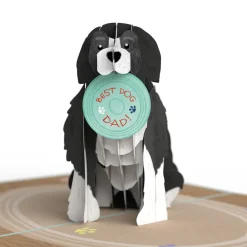 Lovepop Father'S Day 6/15|Dad|Fetching Father’s Day Dog Pop-Up Card