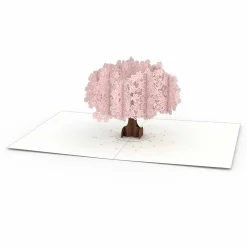 Lovepop Notecards|Congratulations|Garden Notecards (Assorted 4-Pack)