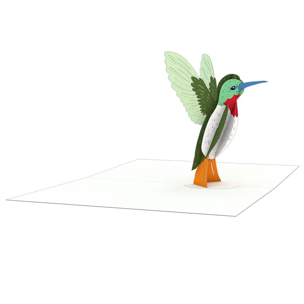Lovepop Notecards|Congratulations|Garden Notecards (Assorted 4-Pack)
