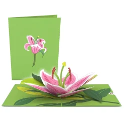 Lovepop Value Packs|Just Because|Garden 7-Pack