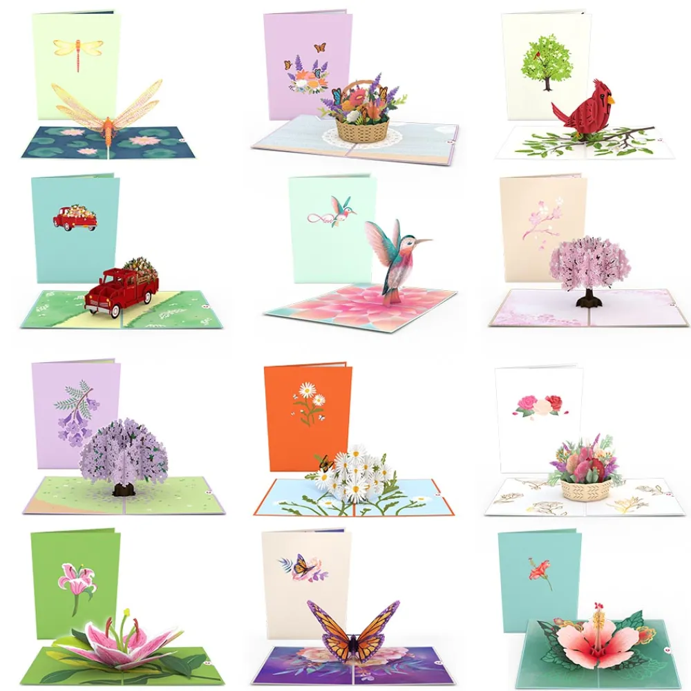 Lovepop Value Packs|Just Because|Garden 12-Pack Classic